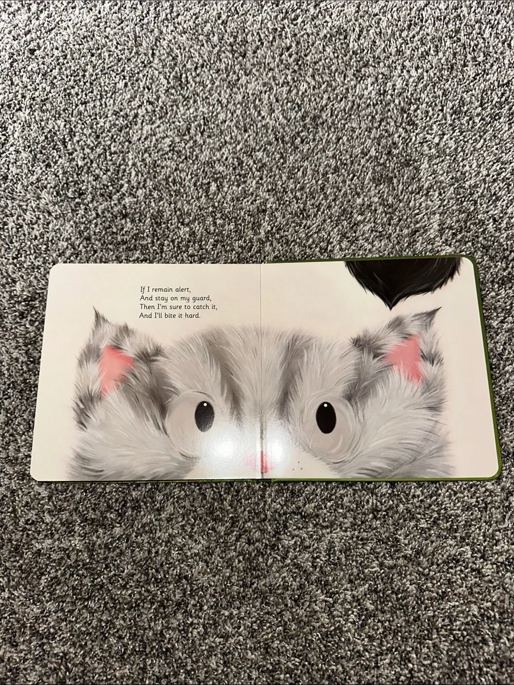 It's Following Me! Gray Kitten Board Book - Kids Learning Toy